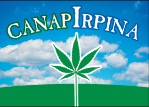 CanapIrpina2