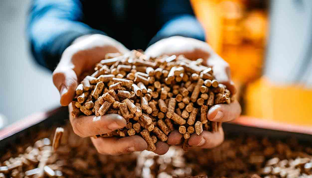 Mangime Per Cavalli In Canapa Biologica - Pellet 2.5 Kg, Ricco Di Proteine, Dalla Germania - Foto 10